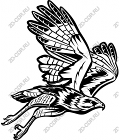 Majestic Hawk