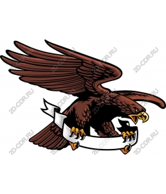  Soaring eagle with a banner