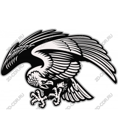  Eagle in flight