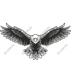  Work Ferocious Eagle