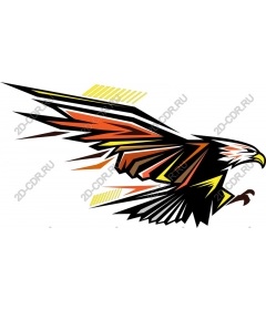  Amazing soaring eagle