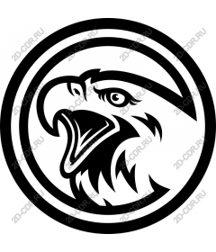  Bold eagle head