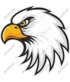 Head of a ferocious eagle