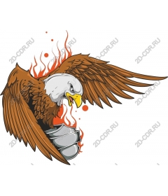  Ferocious Eagle