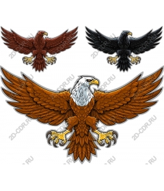  Set "Majestic eagle"