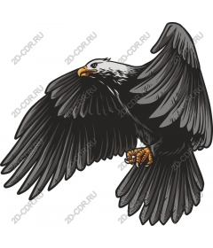 Majestic Eagle