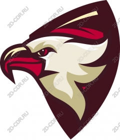 The majestic eagle head