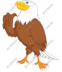  Eagle - Available