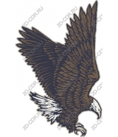 Majestic Eagle