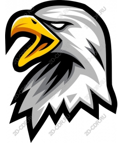 Head of a ferocious eagle