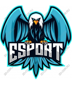  Эмблема киберспорта Fierce Eagle
