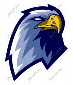 The majestic eagle head