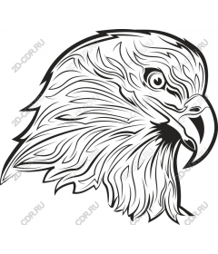 Head of an eagle, intricate line drawing
