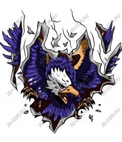  Eagle Burst