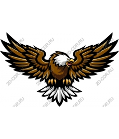 Majestic Eagle