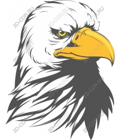 Majestic Eagle