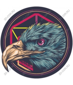 The majestic eagle head