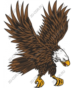 Majestic Eagle