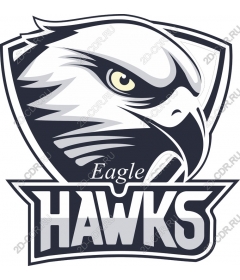  Eagle Hawks