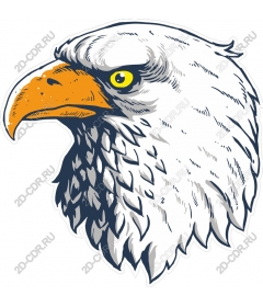 Head Of An Eagle