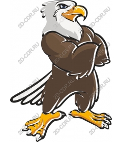 Muscular eagle