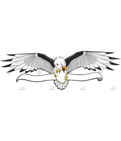 Bold eagle with a shield