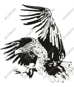 Majestic Eagle