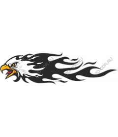  Flaming Eagle