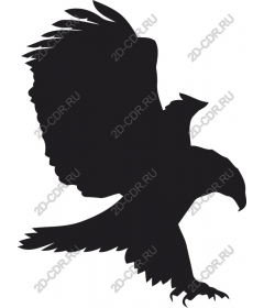  Eagle