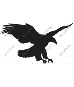 Majestic Eagle
