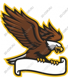  Fierce eagle with a custom banner
