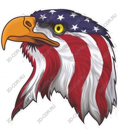  Patriotic eagle