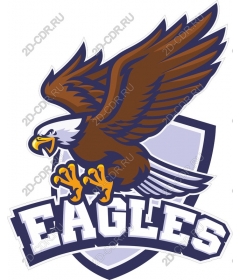  Ferocious eagle in flight