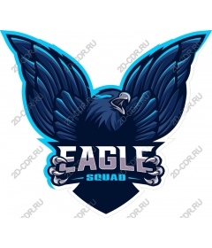  Eagle Squad