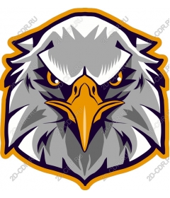 Head Of An Eagle
