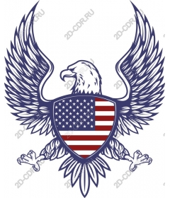Majestic American eagle