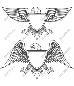 Majestic eagle with a custom shield