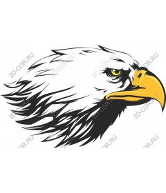 Majestic Eagle
