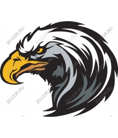 Majestic Eagle