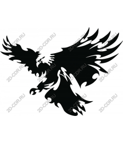  Ferocious Eagle