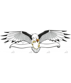 Majestic eagle with a shield