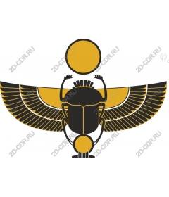 Egyptian scarab beetle
