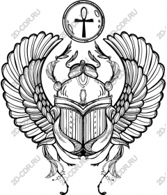  Elegant scarab beetle with wings and Ankh