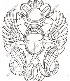 Элегантное крыло египетского скарабея