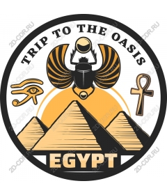  A trip to Oasis - Egypt