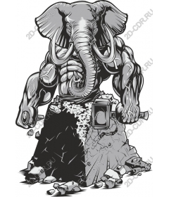 Muscular powerful elephant