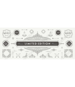 Limited edition retro frames