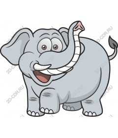 Funny elephant