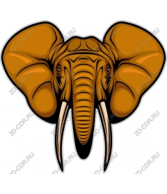 Majestic elephant