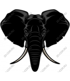  Black elephant